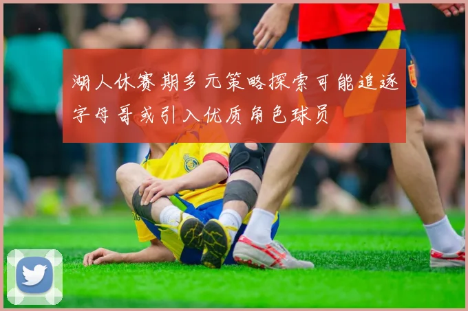 湖人休赛期多元策略探索可能追逐字母哥或引入优质角色球员